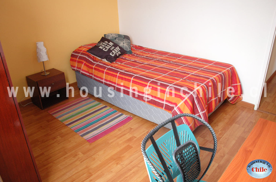 SH-DP: Contravista de habitacion single 4