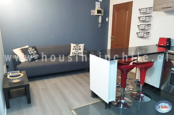 Area comun con sofa