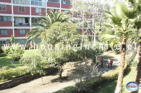 RE-MP: Jardines interiores