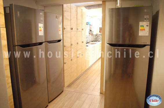 RE-GS1: Refrigerator area