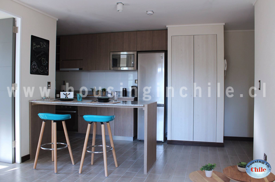 RE-LS: Kitchen with fridge and micro-wave